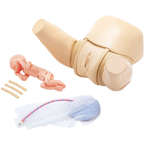 Simulatore didattico - MW36 - Kyoto Kagaku  - di parto / ostetrico/ginecologico / femminile