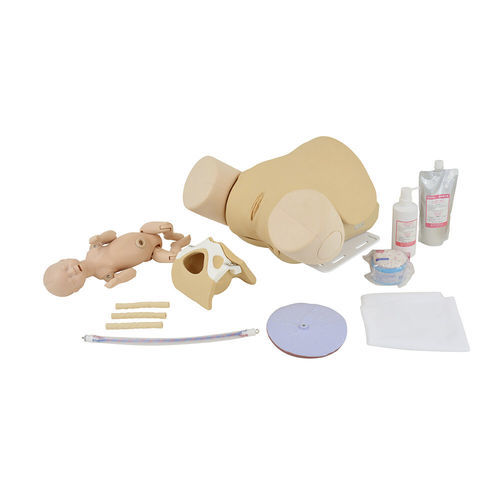 Simulatore didattico - MW65 - Kyoto Kagaku  - di palpazione / di parto / ostetrico/ginecologico