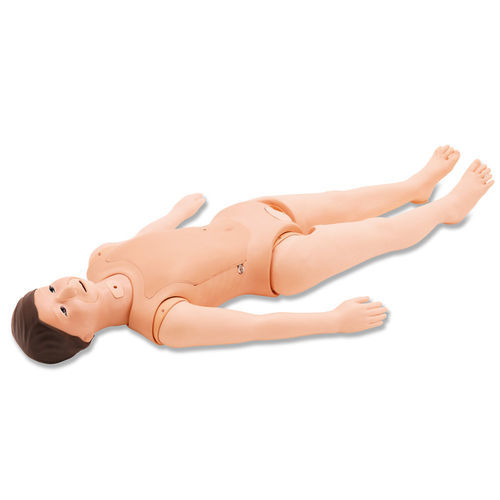 Simulatore didattico - M56A/B - Kyoto Kagaku  - per cataterismo / per tracheotomia / di nutrizione