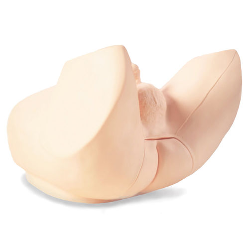 Simulatore didattico - M53B - Kyoto Kagaku  - di palpazione / di palpazione prostatica / per assistenza generale