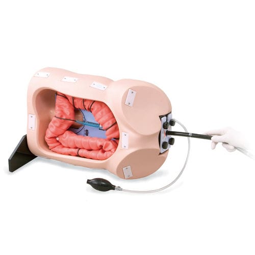 Simulatore per coloscopia - M40 - Kyoto Kagaku  - didattico / per assistenza generale / in plastica