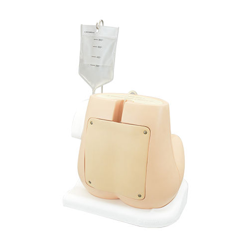 Simulatore didattico - M43B-B - Kyoto Kagaku  - per puntura lombare / di palpazione / per anestesia peridurale