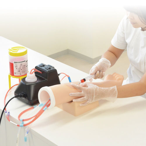 Simulatore per iniezioni endovenose - MW49 - Kyoto Kagaku  - didattico / per prelievo di sangue / di palpazione