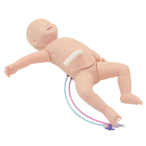 Simulatore didattico - NCPR Plus II - Kyoto Kagaku  - per PICC / di nutrizione / per assistenza generale