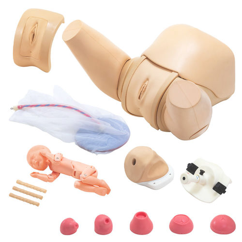 Simulatore di paziente di parto - MW40 - Kyoto Kagaku  - ostetrico/ginecologico / femminile / di pelvi