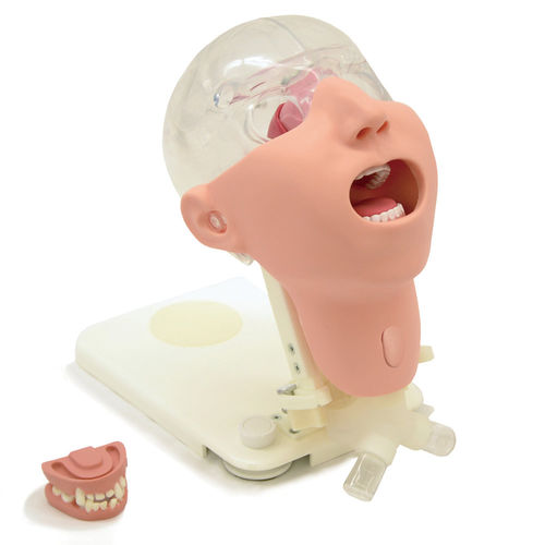 Simulatore di paziente per cure odontoiatriche - MW29 - Kyoto Kagaku  - di testa