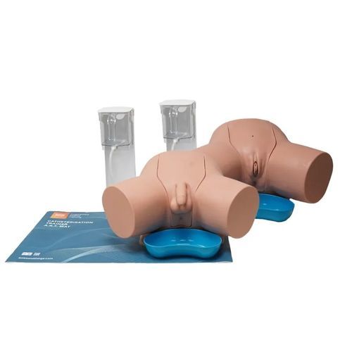 Simulatore per cateterismo urinario - 60854 - Limbs & Things - didattico / di anatomia / per assistenza generale