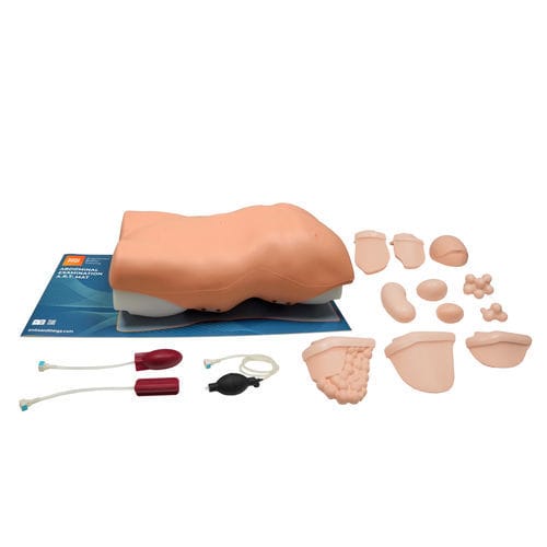 Simulatore per auscultazione - 60000 - Limbs & Things - di palpazione / di ferite addominali / di anatomia
