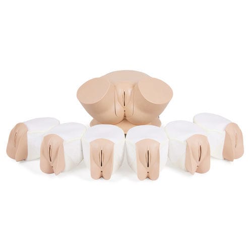 Simulatore di palpazione - 60905 - Limbs & Things - per esame pelvico / didattico / di anatomia