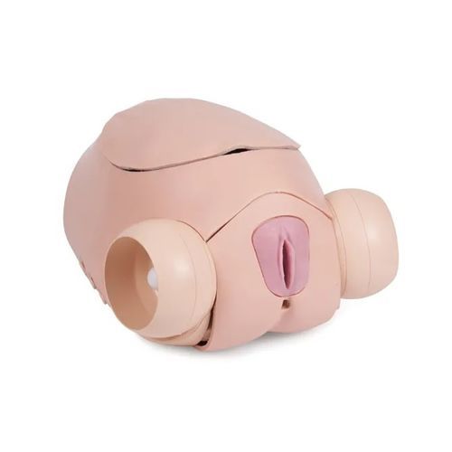 Simulatore per esame pelvico - 60251 - Limbs & Things - per laparascopia / didattico / per isterectomia
