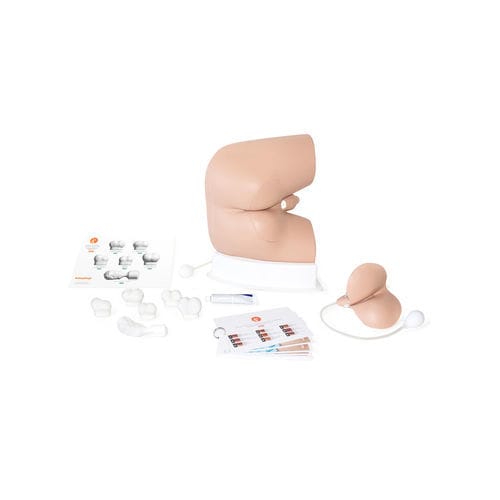 Simulatore di palpazione rettale - 60171 - Limbs & Things - didattico / per assistenza generale / maschile