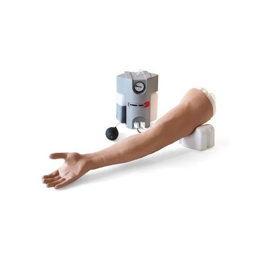 Simulatore per puntura venosa - 70300 - Limbs & Things - per iniezioni endovenose / per perfusione / didattico