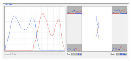 Software di posturologia - Lion Systems - medico