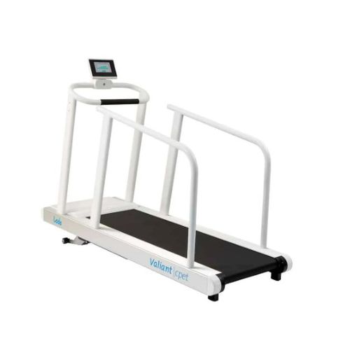 Tapis roulant ergometrico con corrimano - Valiant 2 cpet - Lode - con inclinazione / con imbracatura / per adulti
