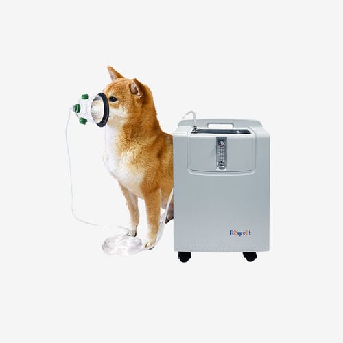 Concentratore di ossigeno veterinario - NW-5KW - Longfian Scitech Co., Ltd - con rotelle / PSA / multiuso
