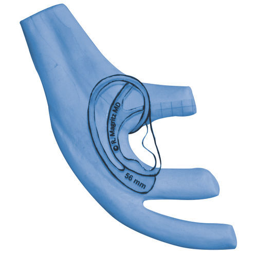 Modello anatomico padiglione auricolare - Medicon eG - per chirurgia plastica / didattico / blu