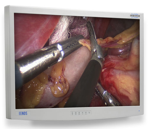 Monitor medico - EndoVue®  - NDS Surgical Imaging - per diagnostica per immagini / per endoscopia / ad alta definizione