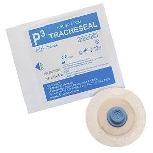Cerotto - TS0004 - P3 Medical