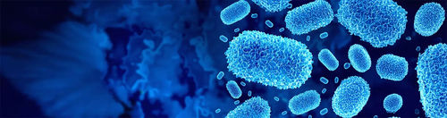 Kit di test mpox - QP10691 - Randox Laboratories - da ricerca / per qPCR / per PCR real-time