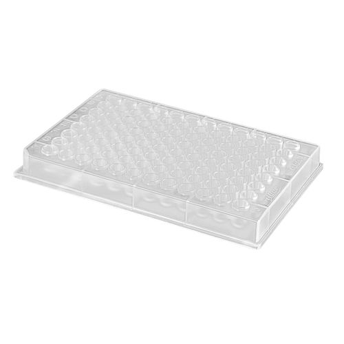 Micropiastra da laboratorio - riplate® 96 - Ritter Medical - a fluorescenza / per stoccaggio di campioni / a 96 pozzetti