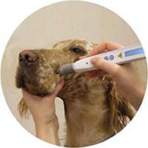 Laser veterinario per fotostimolazione veterinaria - RJ-LASER - Reimers & Janssen - per agopuntura veterinaria / a diodo / da tavolo