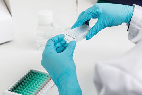 Vetrino per microscopio - sciCHIP Amino - Scienion AG