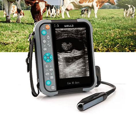 Ecografo veterinario portatile - M5V - Shenzhen Well.D Medical Electronics - multiuso / in bianco e nero