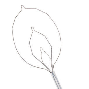 Cestello endoscopico per estrazione di polipi intestinali - LARIAT™ - STERIS - dritto