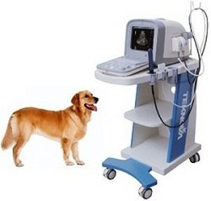 Ecografo veterinario su piattaforma - TH-100Vet - Teknova Medical Systems - multiuso