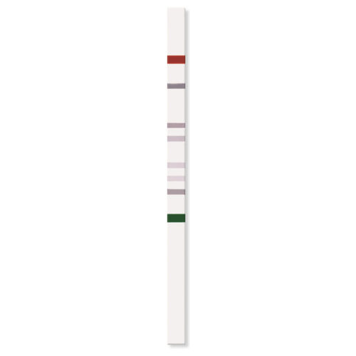 Striscia analitica di malattie genetiche - PGX-TPMT StripAssay® - ViennaLab Diagnostics  - di TPMT / genetica / di piombo