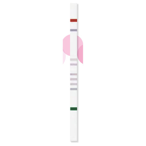 Striscia analitica dell'intolleranza allo zucchero -  StripAssay® - ViennaLab Diagnostics  - di aldolasi / genetica / di fruttosio