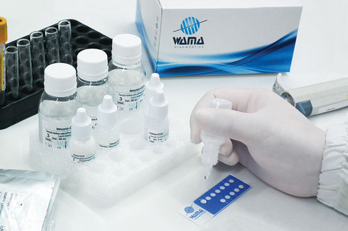 Reagente in soluzione - Wama Diagnostica - clinico / di ANA Hep2 / di Toxoplasma gondii