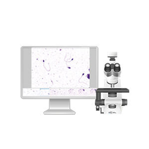 Sistema di imaging cellulare automatico - Vision Basic - West Medica - da laboratorio / diagnostico / dello sperma