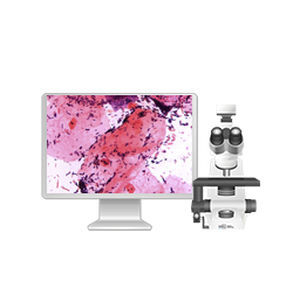 Sistema di imaging cellulare automatico - 71150.05 - West Medica - da laboratorio / diagnostico / microbiologico