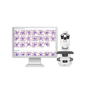 Sistema di imaging cellulare automatico - Vision Assist - West Medica - per laboratorio veterinario / diagnostico