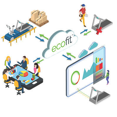 Software medico - ECOFIT - Woodway - di gestione dati / di monitoraggio / cloud