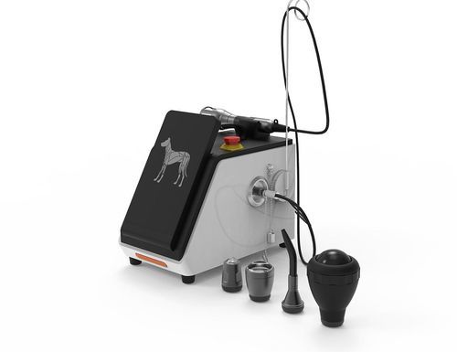 Laser per fotostimolazione veterinaria per riabilitazione - GIGAALASER