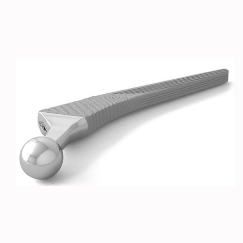 Stelo femorale non cementato - TBG - Double Medical Technology