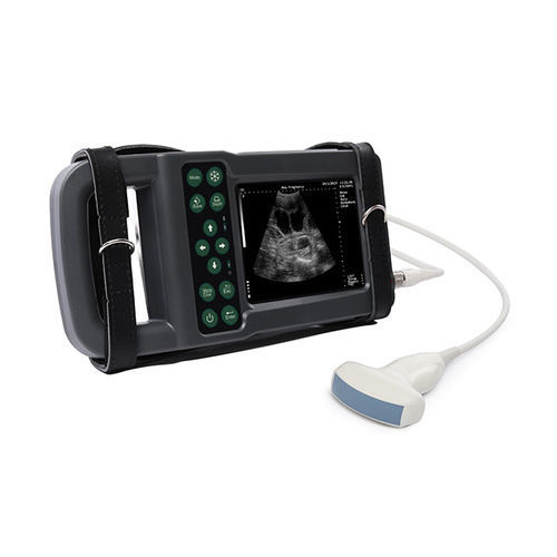 Ecografo veterinario portatile - KX5600L - Kaixin Electronic Instrument - multiuso / in bianco e nero