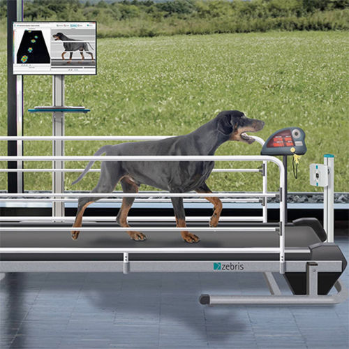 Sistema di analisi marcia - CanidGait® - zebris Medical - veterinario / automatico