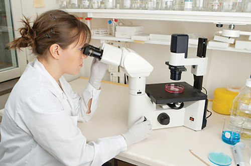 Sistema di gestione da laboratorio - Oracle Cerner - dell'informazione / di dati / RFID