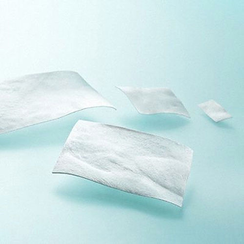 Protesi di sostituzione della dura madre xenotrapianto - LYOPLANT&reg; - Aesculap®