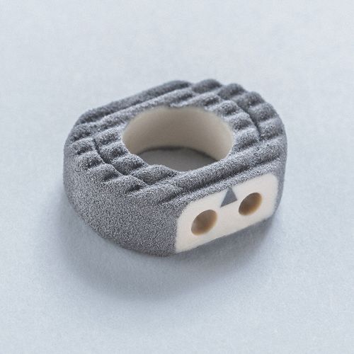 Gabbia intersomatica cervicale - CeSPACE®XP - Aesculap® - via anteriore