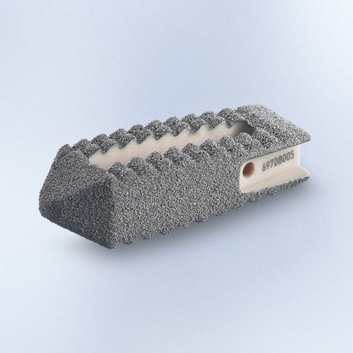 Gabbia intersomatica lombare - PROSPACE®XP - Aesculap® - via posteriore