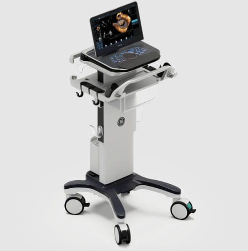 Ecografo portatile con carrello - Vivid™ iq - GE Healthcare - per ecografia cardiovascolare / in bianco e nero / con doppler a colori