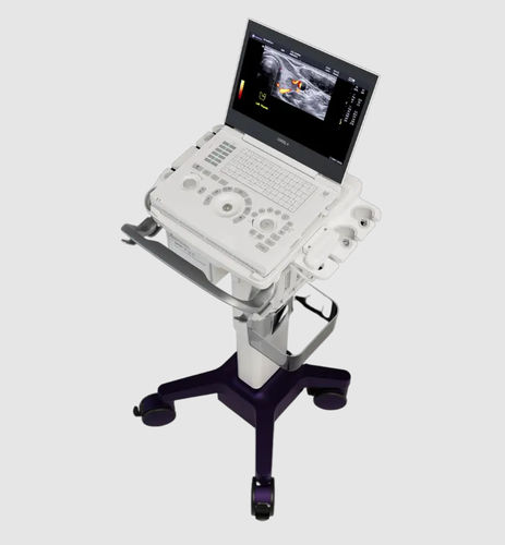 Ecografo portatile con carrello - LOGIQ™ e - GE Healthcare - per ecografia in medicina d'emergenza / per ecografia muscolo-scheletrica / per ecografia in anestesia e terapia intensiva