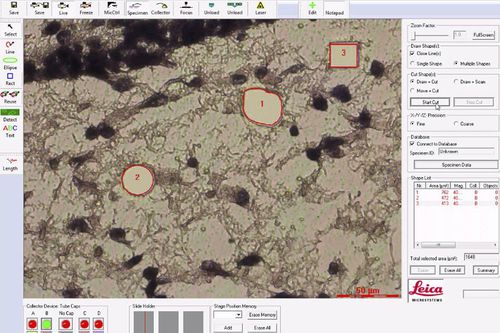 software medico - Leica Microsystems