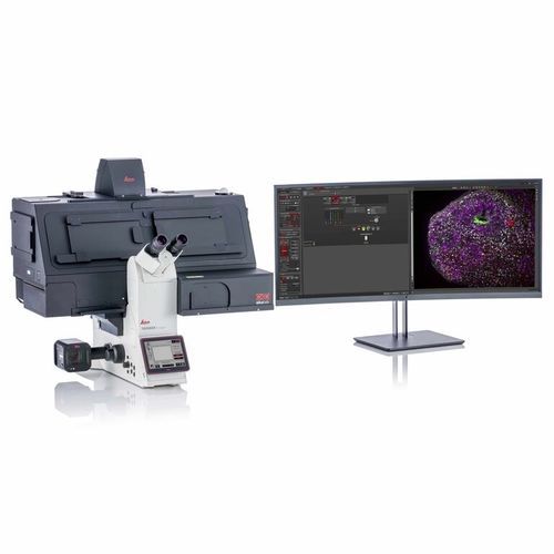 stereomicroscopio a fluorescenza - Leica Microsystems