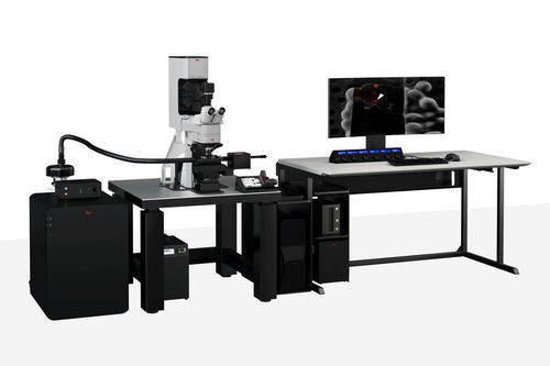 Microscopio elettronico confocale - STELLARIS Cryo - Leica Microsystems - FIB / crioelettronico (Cryo-EM) / da laboratorio