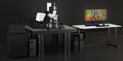 Microscopio multifotonico - STELLARIS DIVE - Leica Microsystems - ottico / biologico / confocale